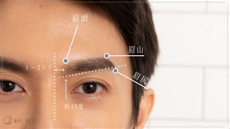 面相男眉型種類|男の眉毛の形の種類を全解剖｜メンズ眉の【眉フェス